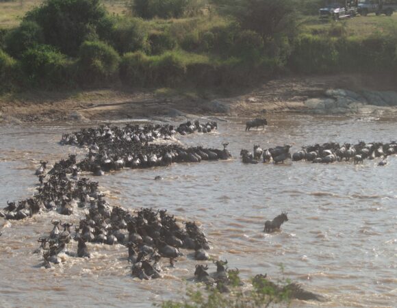 6 interesting facts about Serengeti