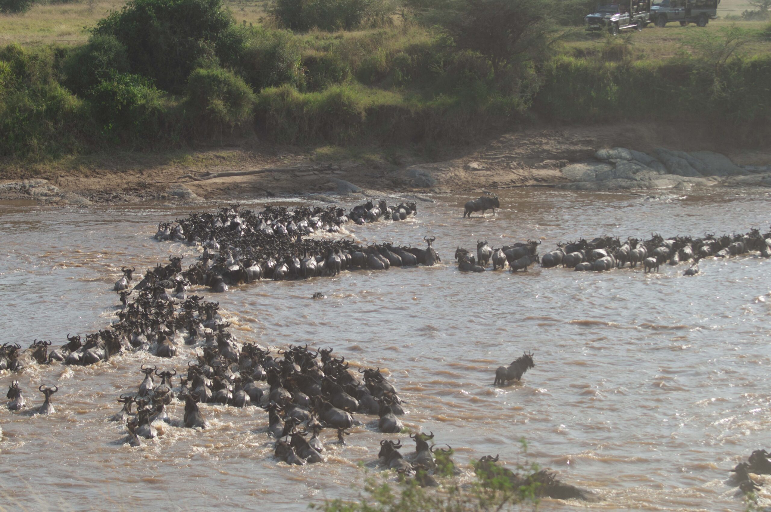 Serengeti National Park